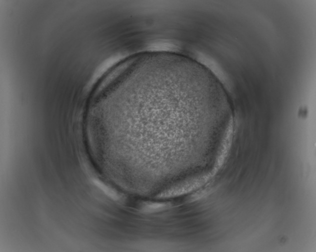 X0000092290155200709281313