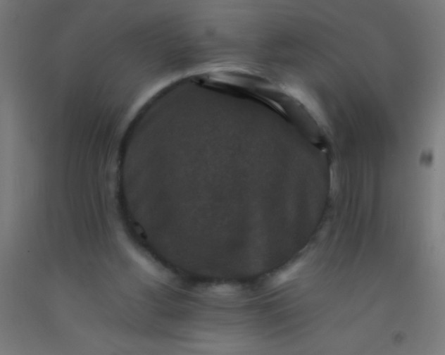 X0000092290156200709281313