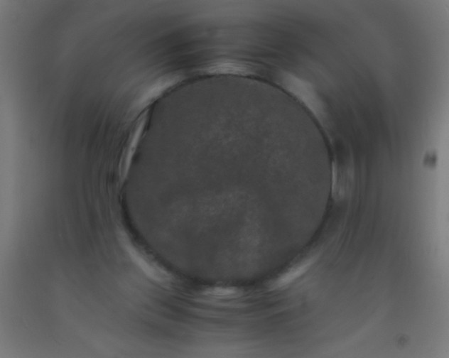 X0000092290157200709281313