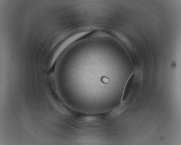 X0000092290158200709281313