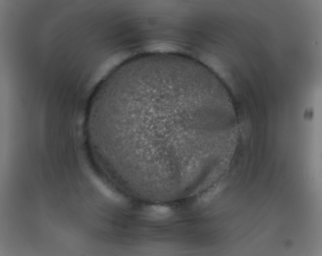 X0000092290159200709281313