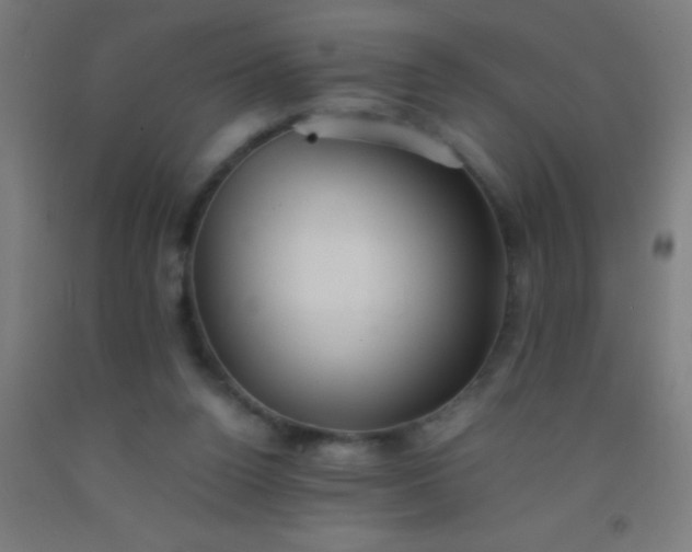 X0000092290160200709281313