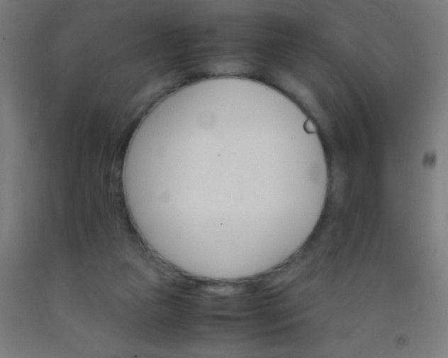 X0000092290161200709281313