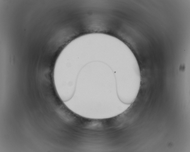 X0000092290162200709281313