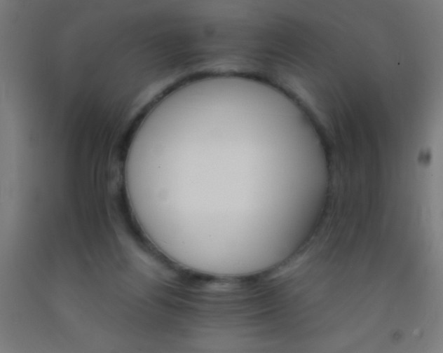 X0000092290164200709281313