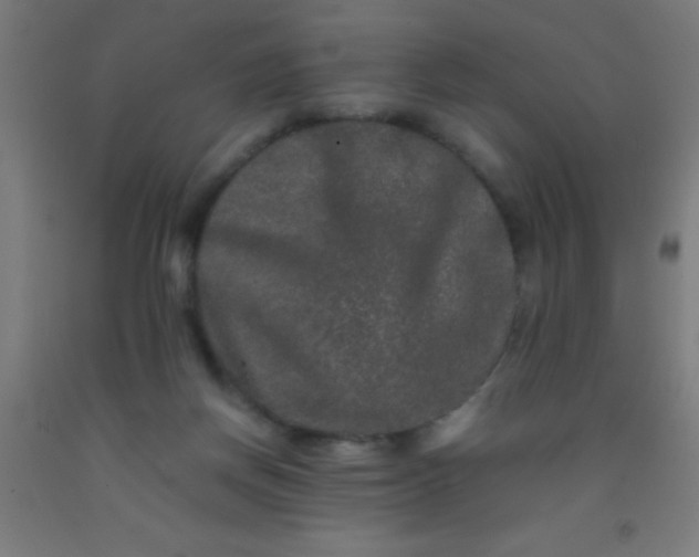 X0000092290166200709281313