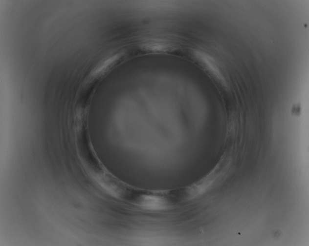 X0000092290167200709281313