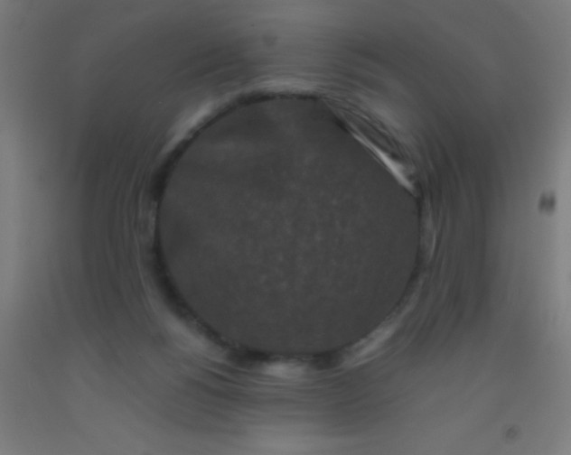 X0000092290168200709281313