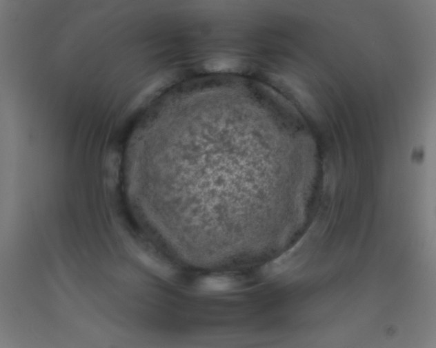 X0000092290171200709281313