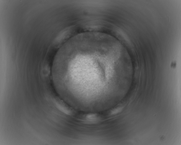 X0000092290173200709281313