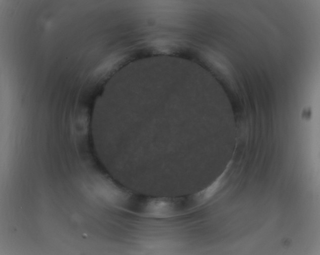 X0000092290174200709281313