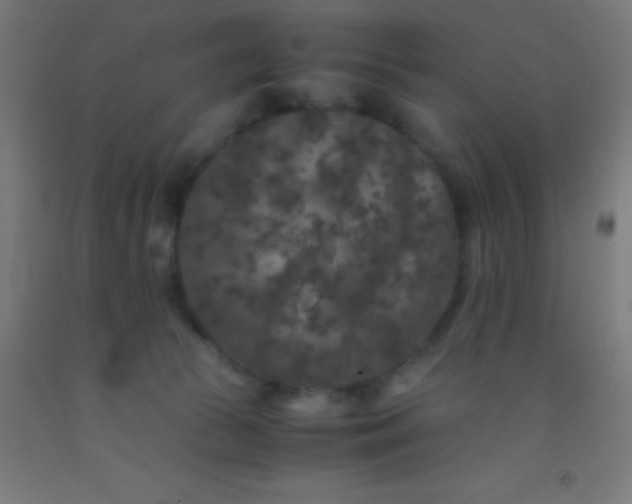 X0000092290177200709281313