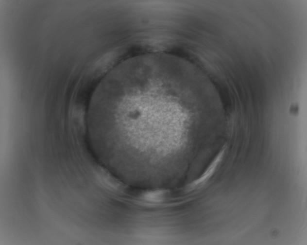 X0000092290178200709281313