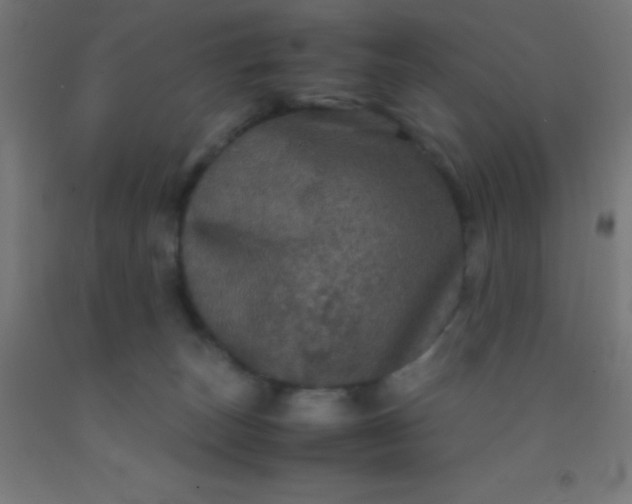 X0000092290179200709281313