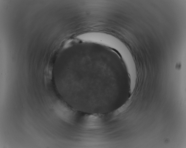 X0000092290180200709281313