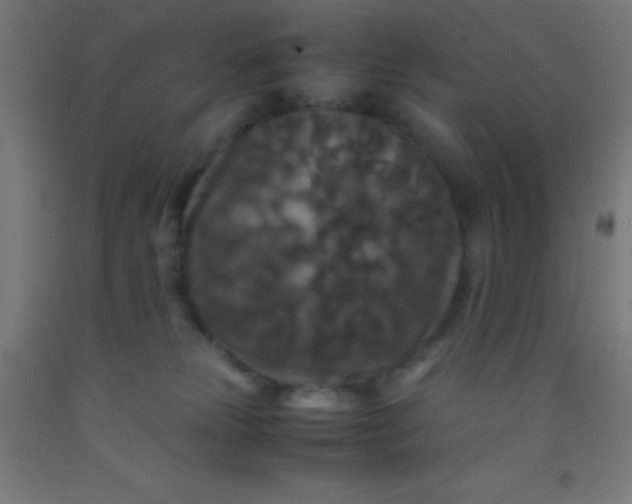 X0000092290181200709281313