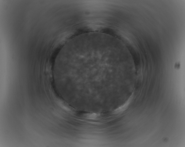 X0000092290182200709281313