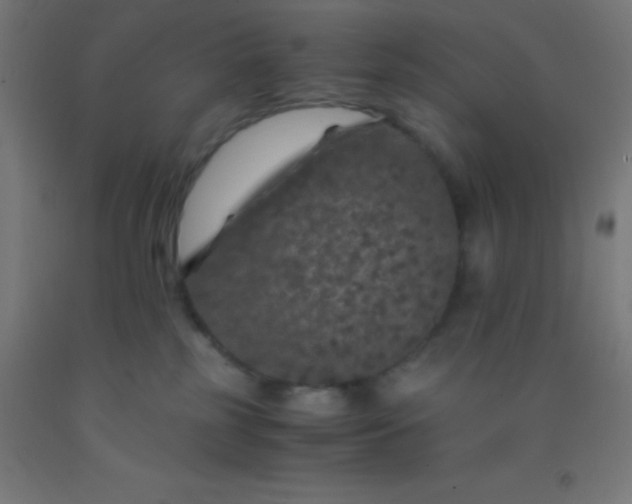 X0000092290185200709281313