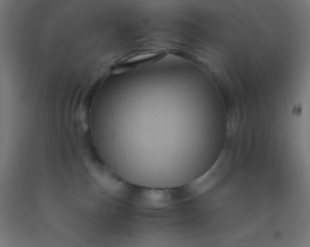 X0000092290187200709281313