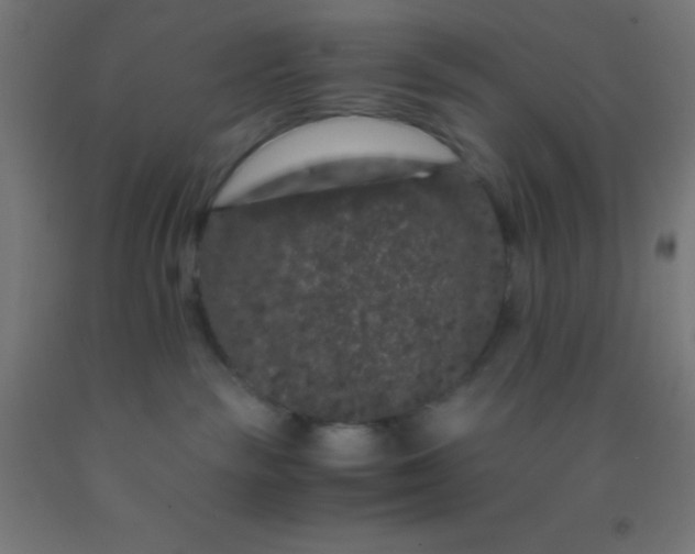 X0000092290189200709281313