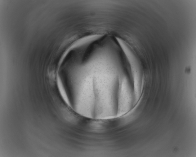 X0000092290190200709281313