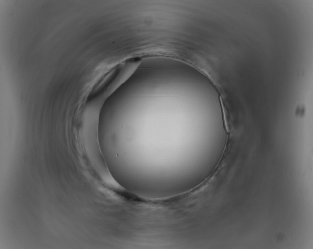 X0000092290193200709281312