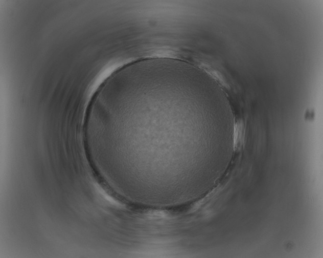 X0000092290195200709281312