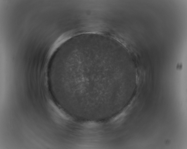 X0000092290198200709281312