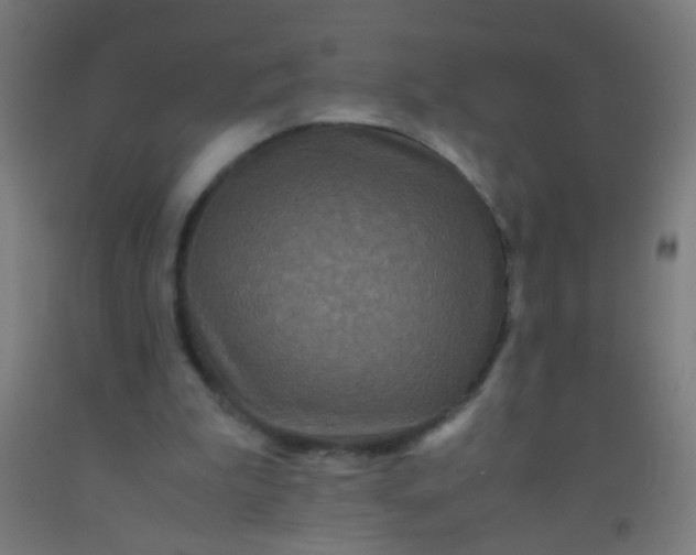 X0000092290199200709281312