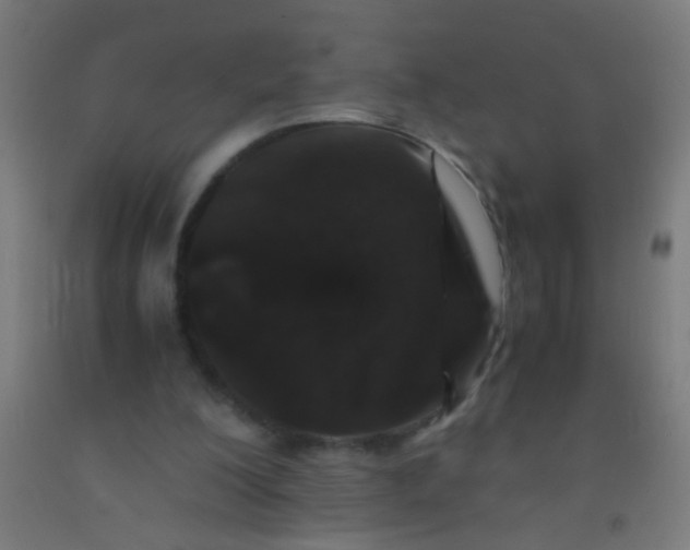 X0000092290200200709281312