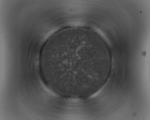 X0000092290202200709281312