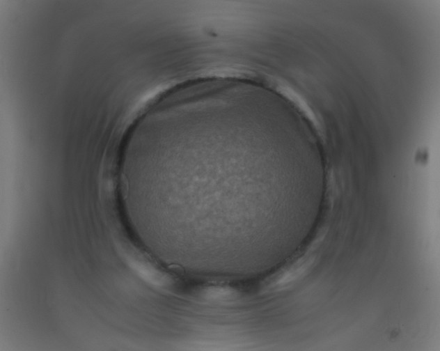 X0000092290203200709281312