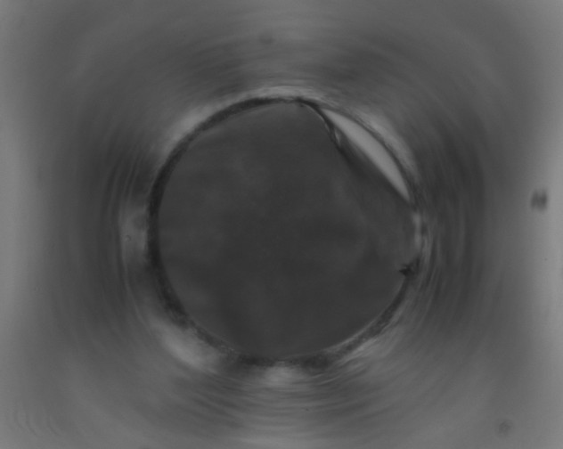 X0000092290204200709281312