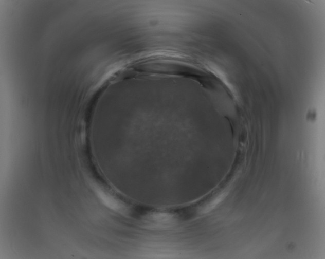 X0000092290205200709281312