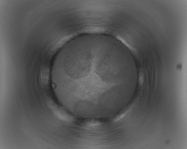 X0000092290206200709281312