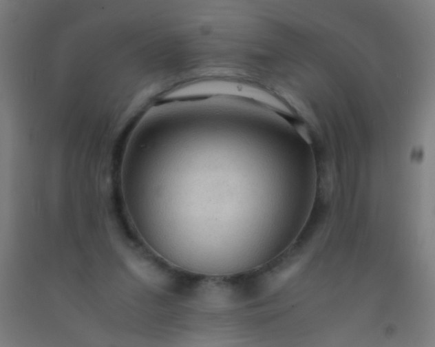 X0000092290207200709281312