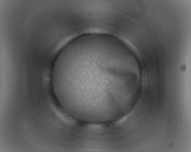 X0000092290208200709281312