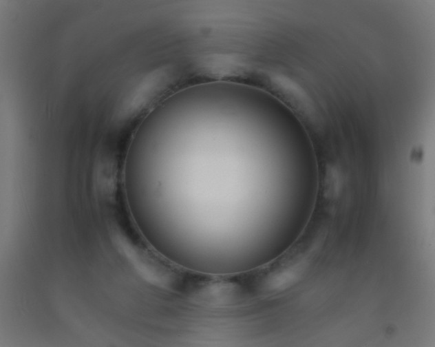 X0000092290210200709281312