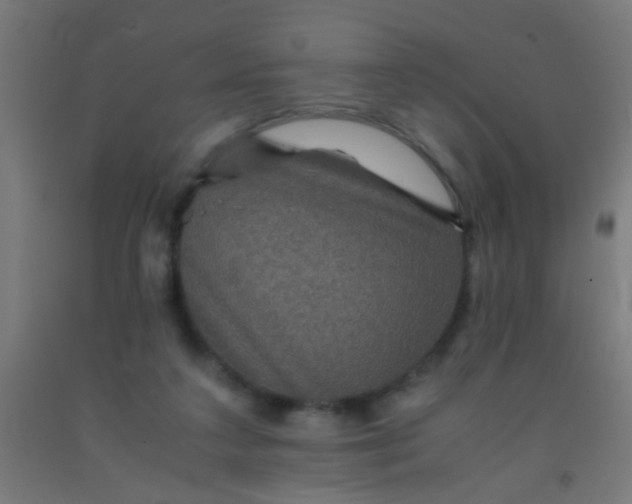 X0000092290211200709281312