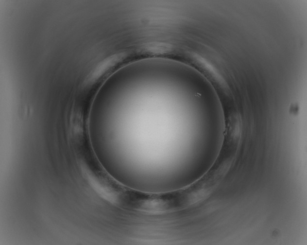 X0000092290212200709281312