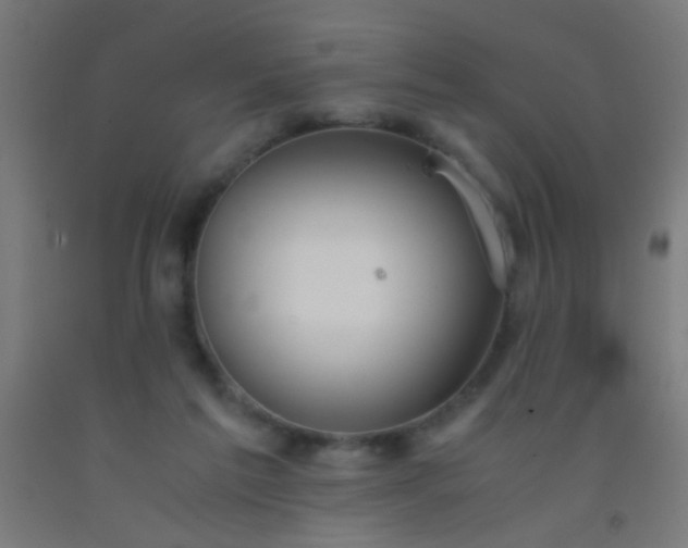 X0000092290213200709281312