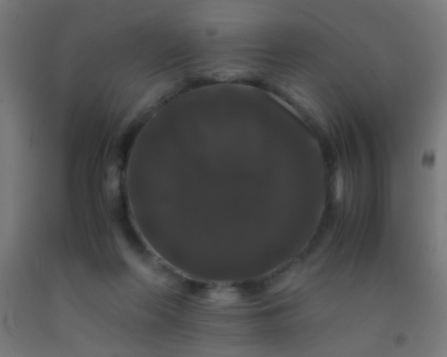 X0000092290214200709281312