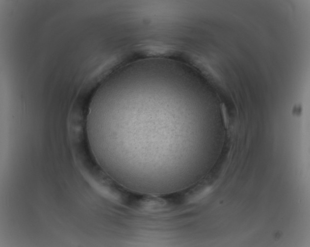 X0000092290215200709281312