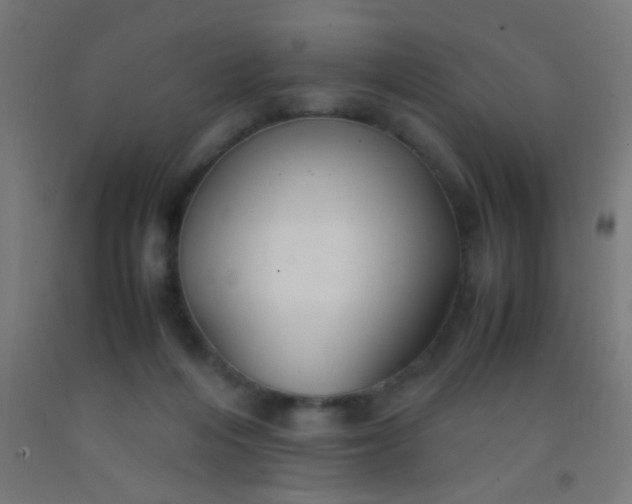 X0000092290216200709281312