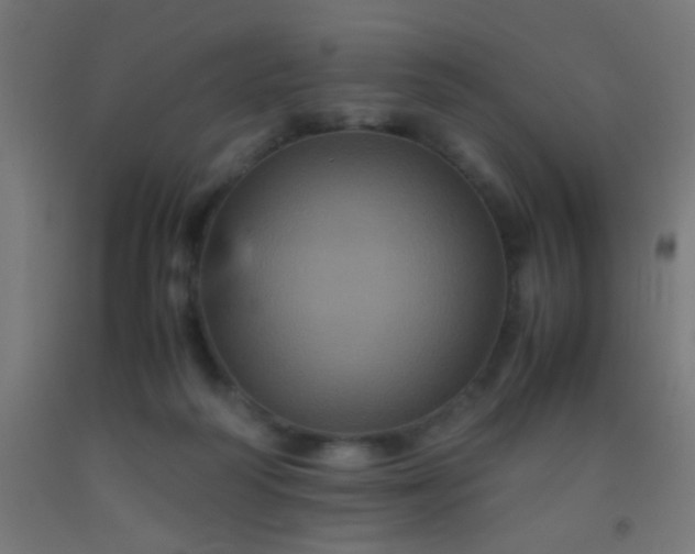 X0000092290218200709281312