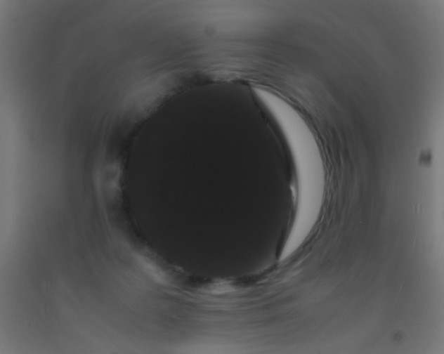 X0000092290219200709281312