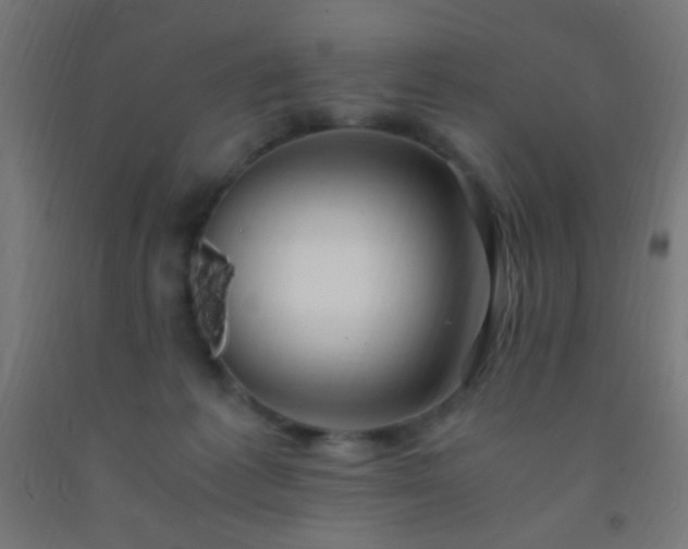 X0000092290221200709281312