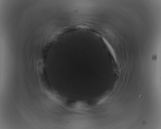 X0000092290223200709281312