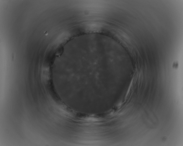 X0000092290224200709281312