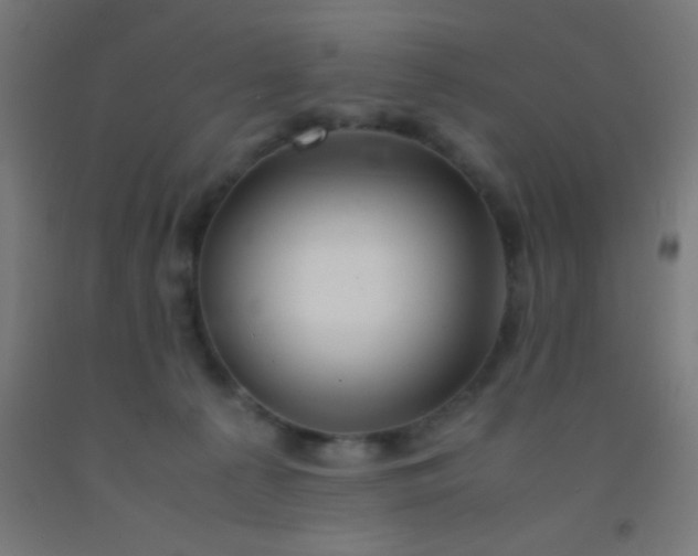 X0000092290225200709281312